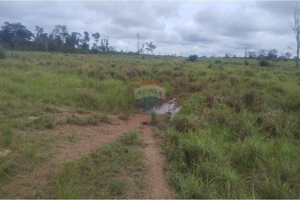 Chácara / Sítio / Fazenda - Venda - Confresa , Mato Grosso - IMG-20250926-WA0050.jpg - 720641046-10