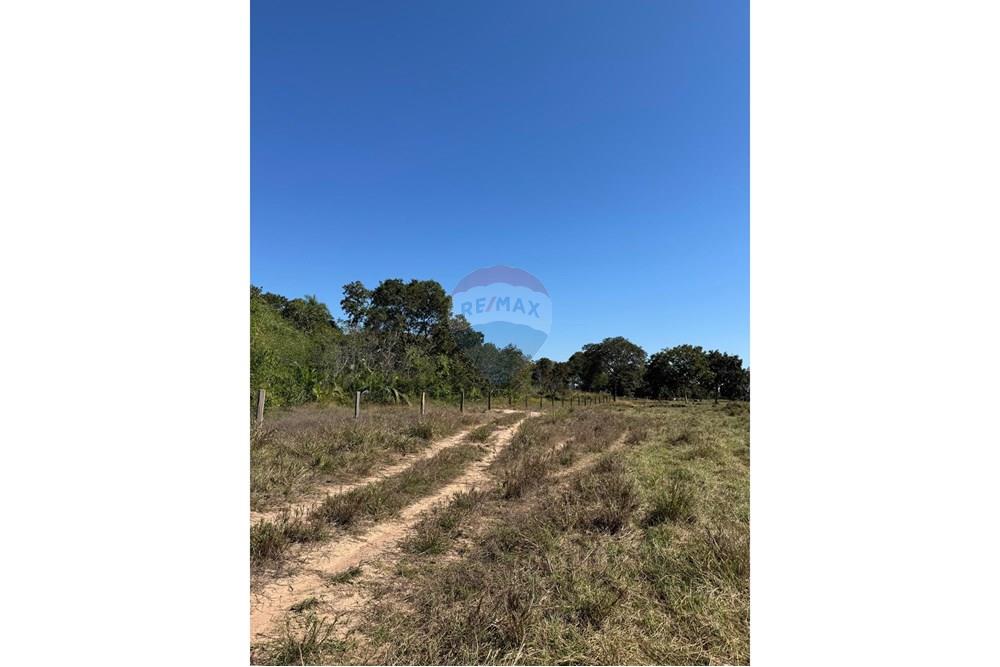 Fazenda - Venda - Santo Antônio do Leverger , Mato Grosso - e6d170ee-a46b-474d-bff2-d58d42730627.jpeg - 720611035-41