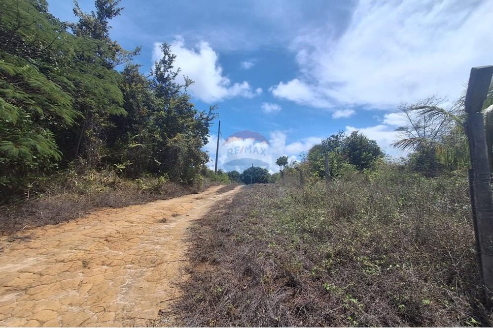 Terreno - Venda - Conde , Paraíba - 2038481e-0b6d-482c-a975-0b03c20132ac.jpeg - 720871044-33