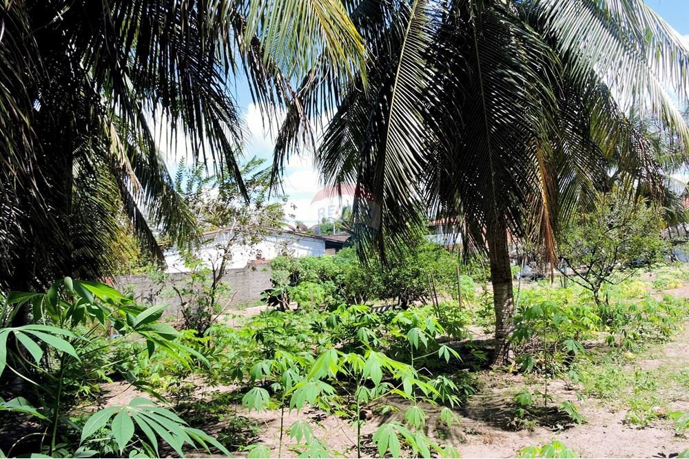 Terreno - Venda - Parnamirim , Rio Grande do Norte - DSCN4931.JPG - 720891150-66