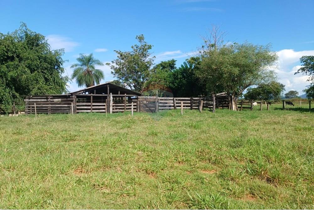 Chácara / Sítio / Fazenda - Venda - São José do Povo , Mato Grosso - WhatsApp Image 2025-04-03 at 17.01.51 (1).jpeg - 722261017-2