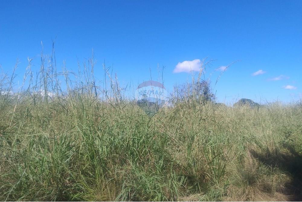 Chácara / Sítio / Fazenda - Venda - Confresa , Mato Grosso - IMG-20250926-WA0032 - Copia.jpg - 720641046-11