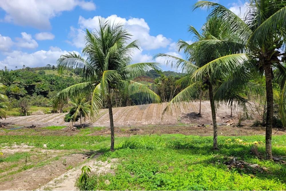 Chácara / Sítio / Fazenda - Venda - Conde , Paraíba - 20240921_103022.jpg - 722011055-34