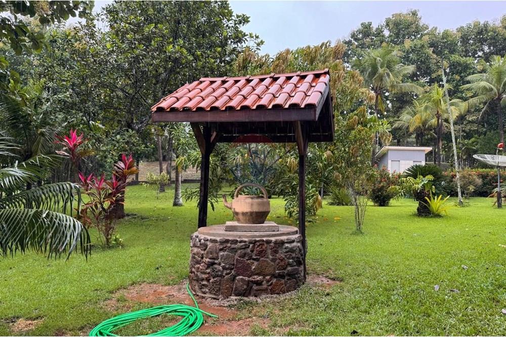 Chácara / Sítio / Fazenda - Venda - Jaru , Rondônia - 1ec16069-b2c5-4cb5-8adb-18bbcc8d129a.jpeg - 721551076-205