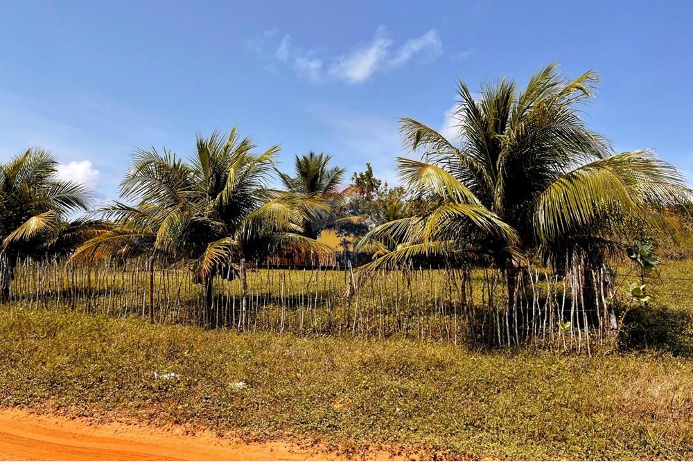 Terreno - Venda - Touros , Rio Grande do Norte - WhatsApp Image 2025-09-23 at 18.37.29.jpeg - 720891024-232