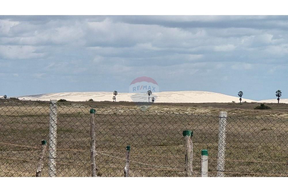 Terreno - Venda - Cruz , Ceará - 20250817_105647.jpg - 722341001-75