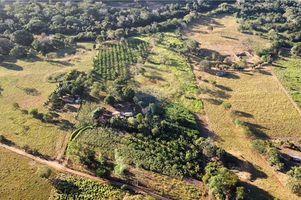 Fazenda - Venda - Guiratinga , Mato Grosso - IMG-20250730-WA0170.jpg - 721981068-4