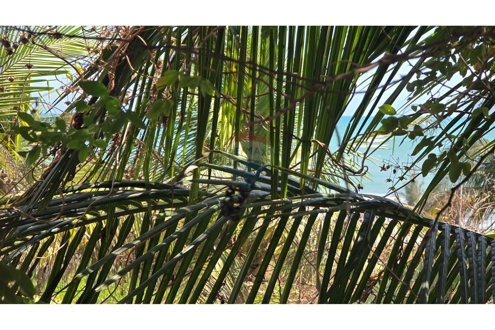 Terreno - Venda - Cruz , Ceará - 20250806_095638.jpg - 722341001-74