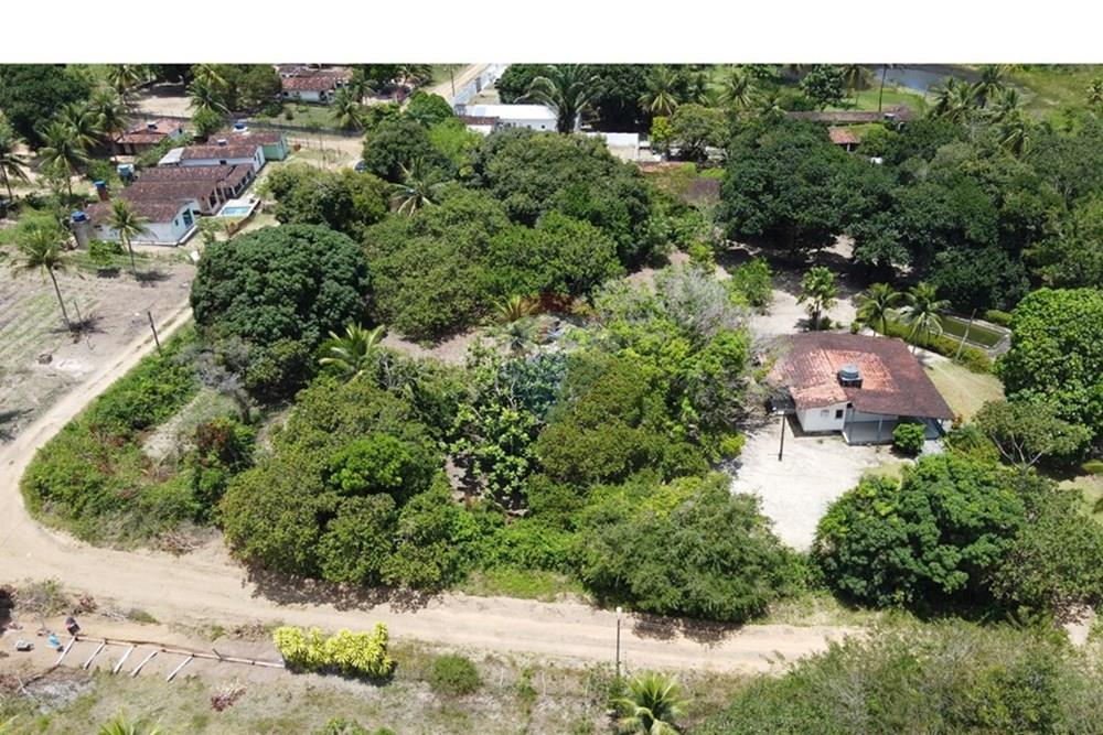 Chácara / Sítio / Fazenda - Venda - Conde , Paraíba - DJI_0257.JPG - 720871004-216