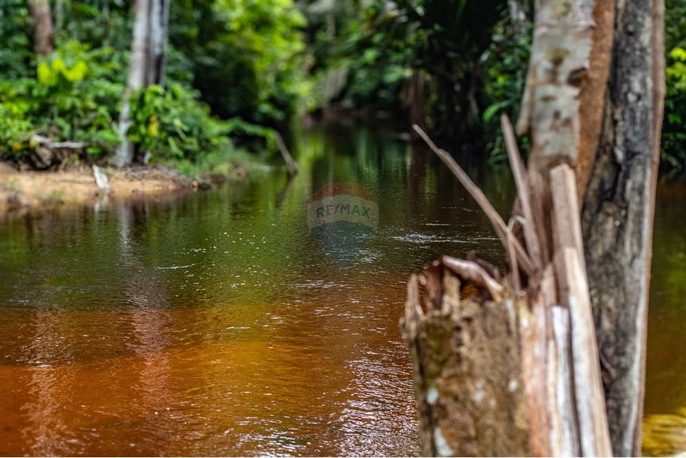 Chácara / Sítio / Fazenda - Venda - Novo Airão , Amazonas - IMG_7323.jpg - 720721055-29