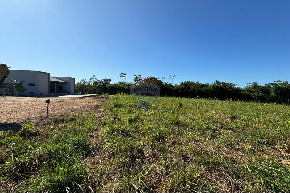 Terreno - Venda - Piçarra , Pará - WhatsApp Image 2024-07-18 at 17.06.56 (1).jpeg - 720991002-131