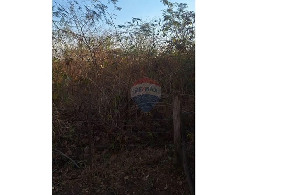 Outros - Venda - Rondonópolis , Mato Grosso - IMG-20250830-WA0131.jpg - 721981068-7