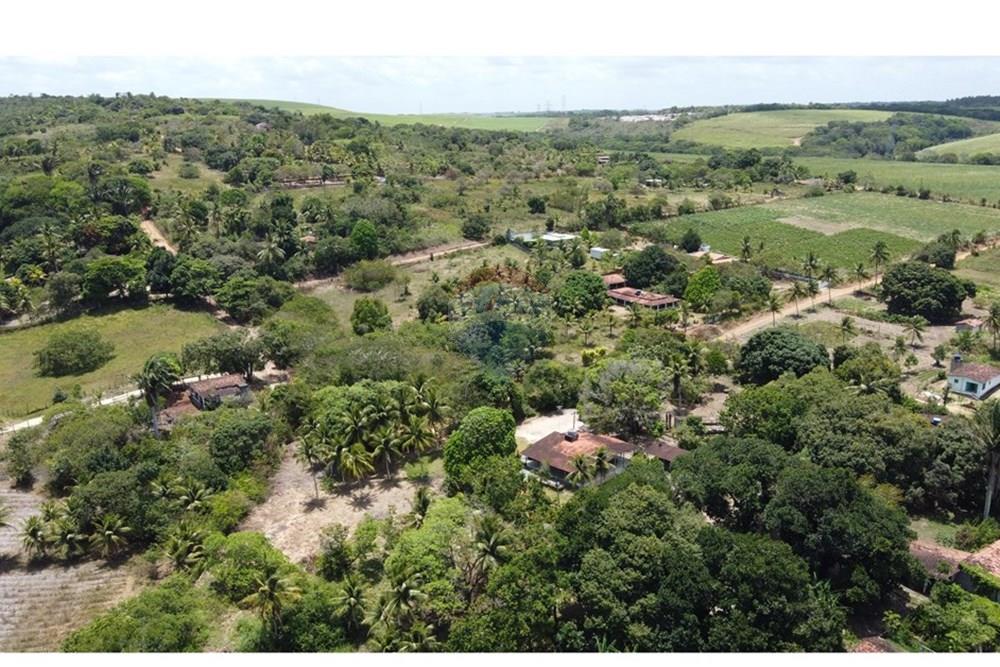 Chácara / Sítio / Fazenda - Venda - Conde , Paraíba - DJI_0274.JPG - 720871004-216