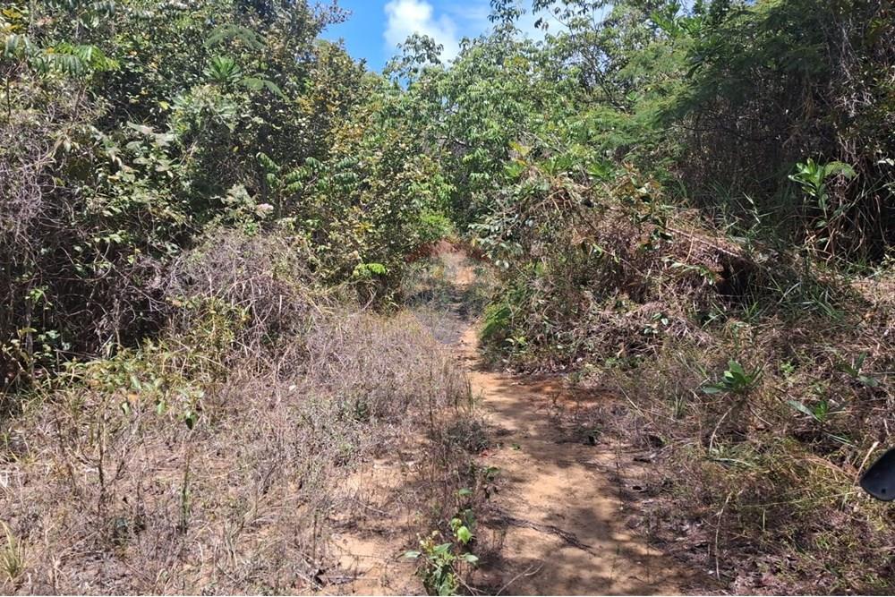 Terreno - Venda - Conde , Paraíba - e4ce62fc-fc3e-4019-a189-f5cd079e7d1f (1).jpeg - 720871044-33