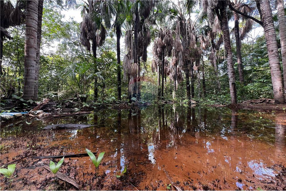 Chácara / Sítio / Fazenda - Venda - Araguaína , Tocantins - 16 - 720991010-70