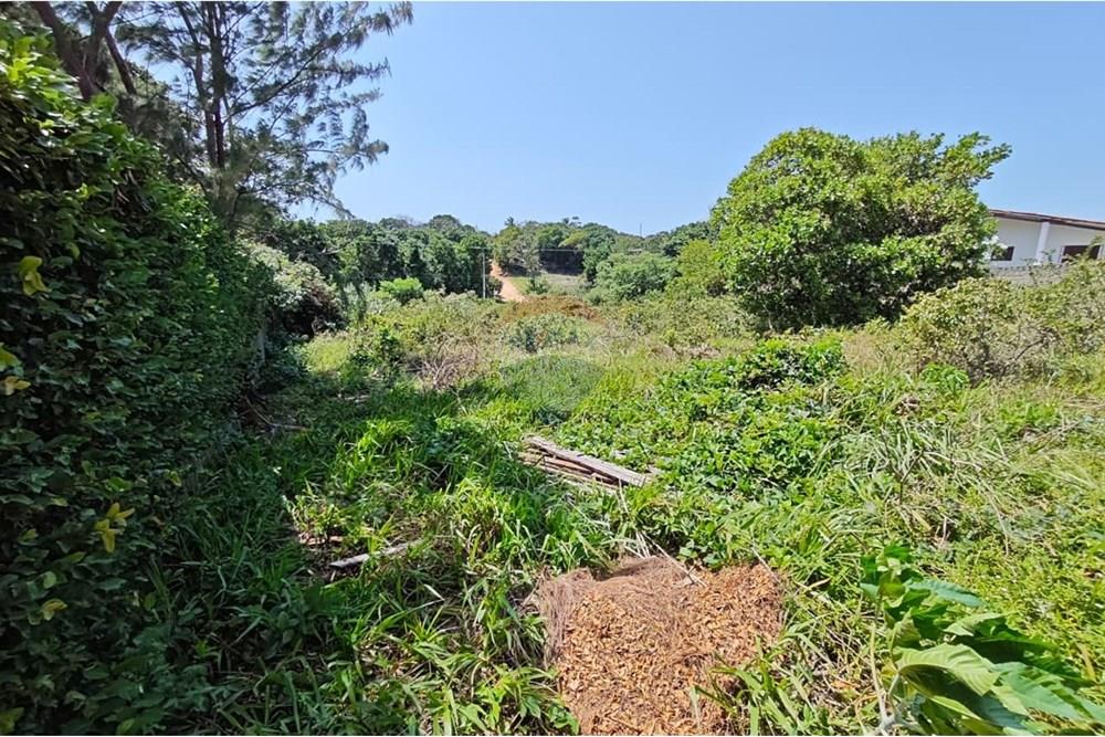 Terreno - Venda - Conde , Paraíba - WhatsApp Image 2025-09-19 at 09.55.04 (4).jpeg - 720871009-201