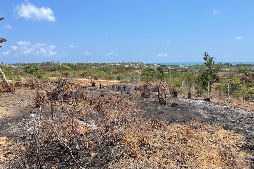 Terreno - Venda - Conde , Paraíba - WhatsApp Image 2025-01-02 at 15.58.15.jpeg - 720871004-174