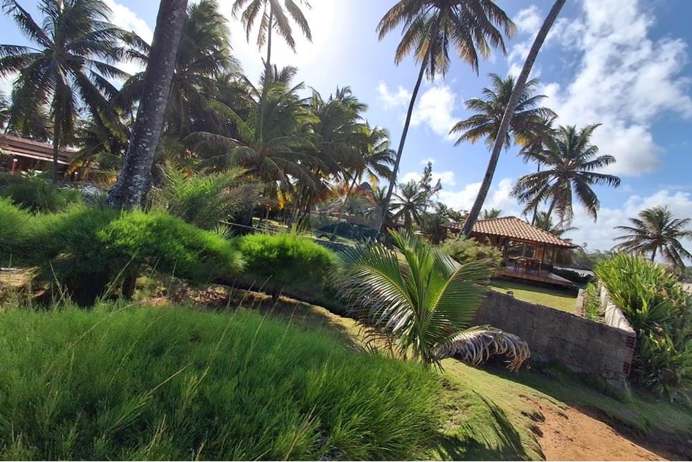 Terreno - Venda - Pitimbu , Paraíba - e45aec57-09ed-4f22-9093-7d25e2406ea8.jpg - 720871044-59