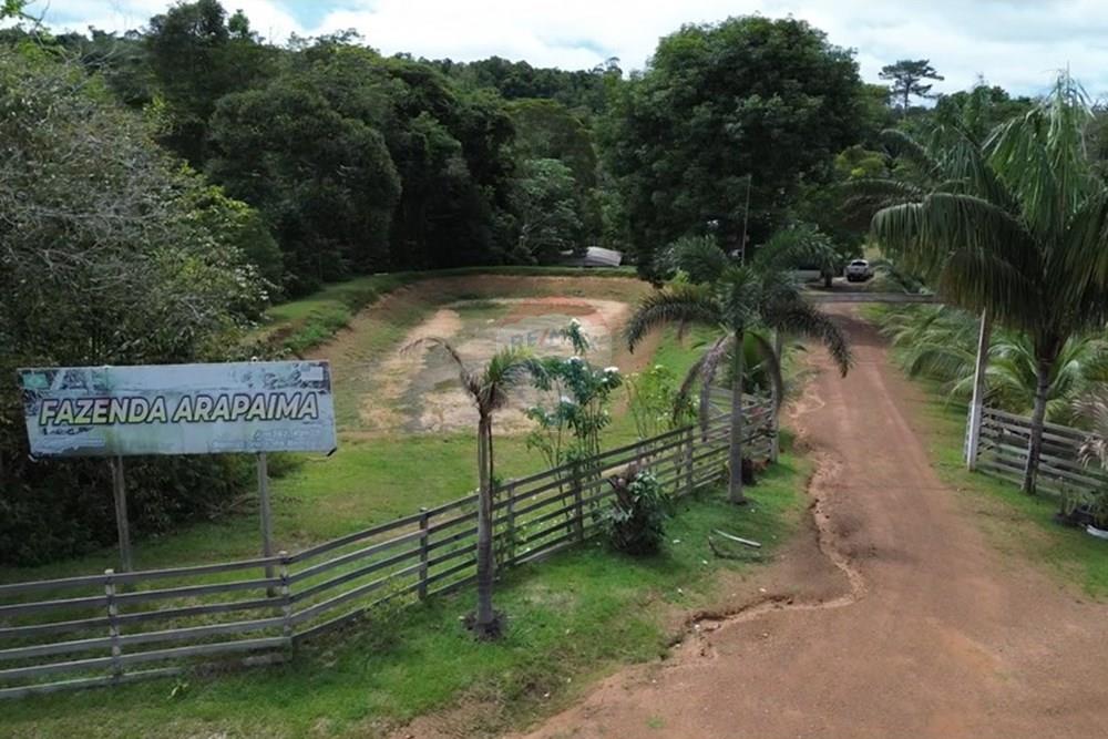 Chácara / Sítio / Fazenda - Venda - Novo Airão , Amazonas - entrada da fazenda.jpg - 720721055-29