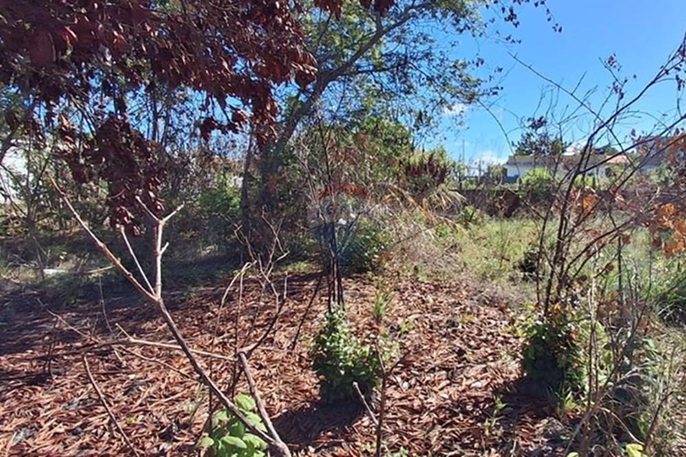 Terreno - Venda - Conde , Paraíba - 628b0e65-18e5-4d3a-b4d8-1a8551cc4402.jpeg - 720871044-68