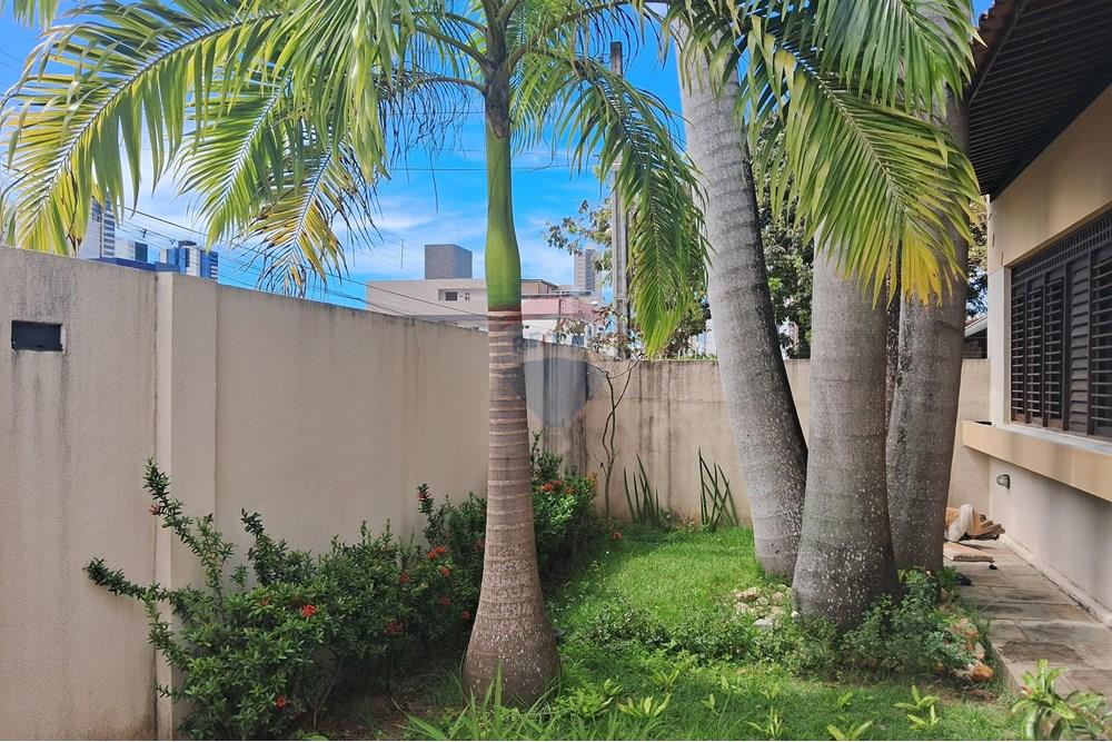 Casa - Alugar - João Pessoa , Paraíba - 20250722_113551.jpg - Jardim Interno - 720301177-42