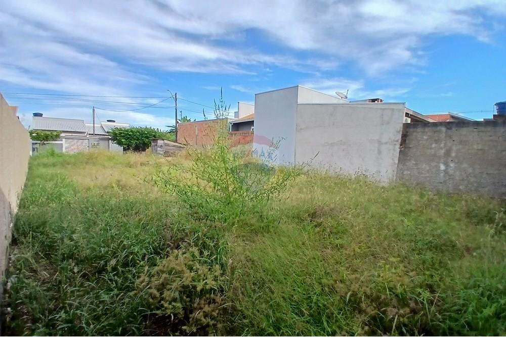 Terreno - Venda - Jaru , Rondônia - 20250513_162519.jpg - 721551076-201