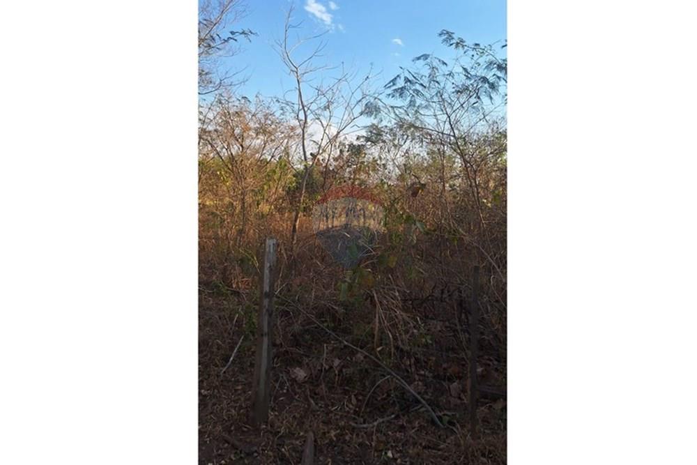 Outros - Venda - Rondonópolis , Mato Grosso - IMG-20250830-WA0127.jpg - 721981068-7