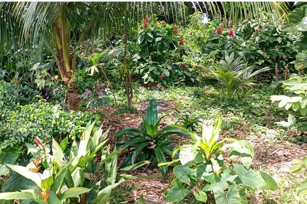 Kitnet - Venda - Manaus , Amazonas - Imagem do WhatsApp de 2025-10-20 à(s) 15.33.17_78b996a8.jpg - 720661012-19