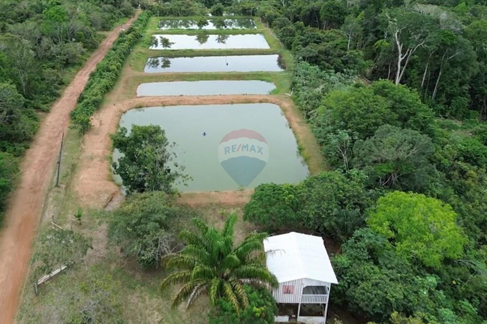 Chácara / Sítio / Fazenda - Venda - Novo Airão , Amazonas - Tanques de Peixes8.jpg - 720721055-29