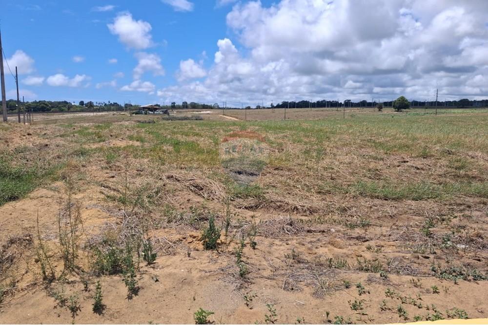 Terreno - Venda - Pitimbu , Paraíba - 12b4ba88-ac35-49a7-b5f9-38dd24d6d455.jpeg - 720871044-34