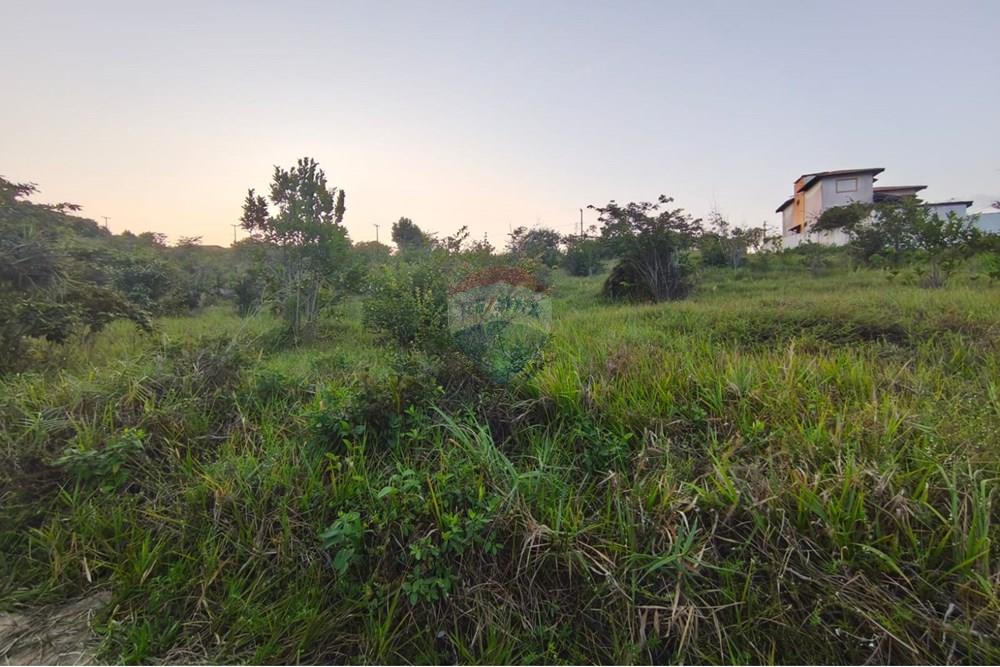 Terreno - Venda - Pitimbu , Paraíba - 2f45722f-c1e4-4a3d-ad75-5f56c3b0b93f.jpg - 720871056-19