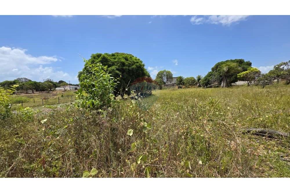 Terreno - Venda - Conde , Paraíba - b25582a2-d8e0-4d47-b437-0320ac8b73eb.jpg - 720871061-11