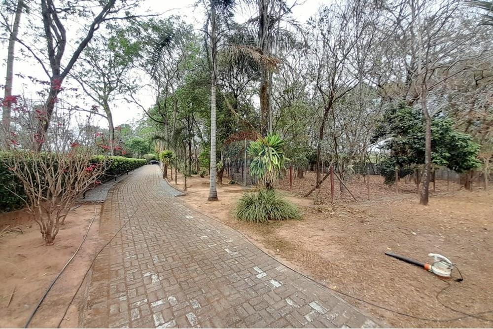 Chácara / Sítio / Fazenda - Venda - Nova Veneza , Goiás - WhatsApp Image 2025-10-08 at 10.28.24 (1).jpeg - 722271015-32