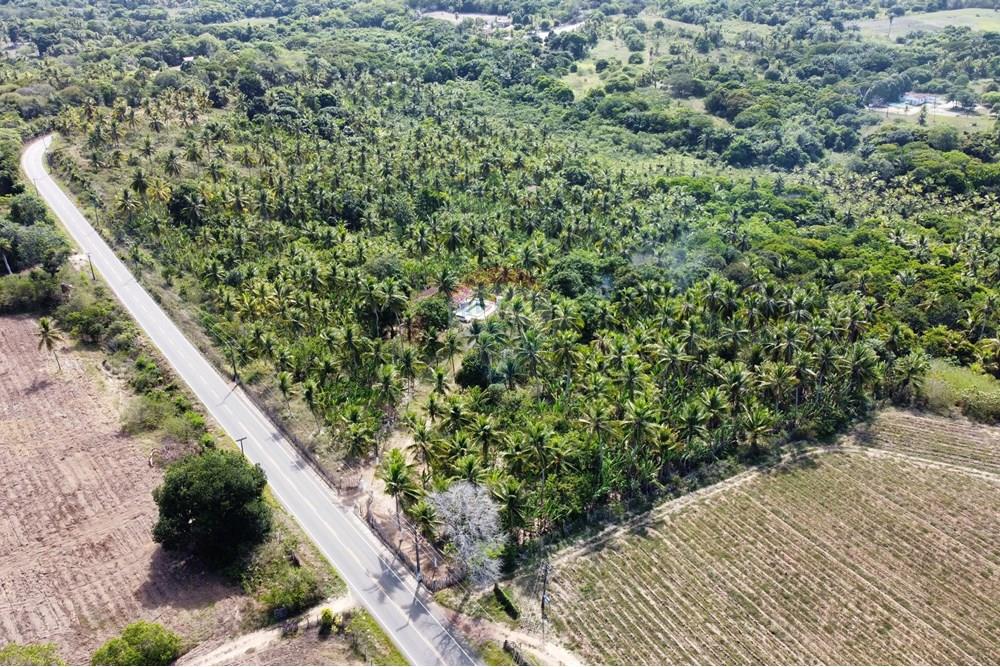 Chácara / Sítio / Fazenda - Venda - Conde , Paraíba - dji_fly_20250123_142200_386_1737653059010_photo_optimized1.jpg - 722011055-36