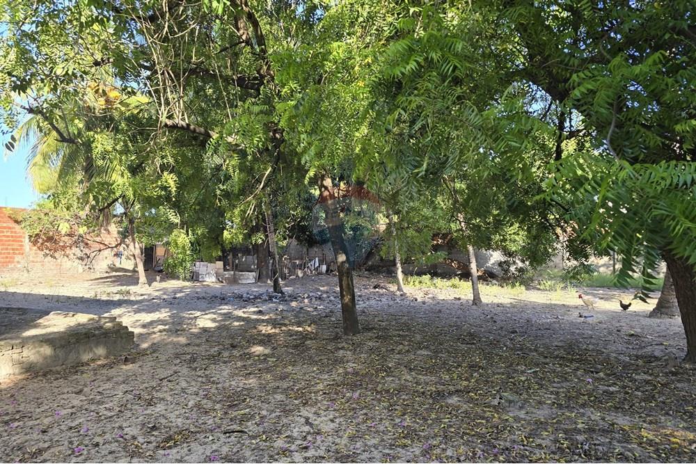 Terreno - Venda - Fortaleza , Ceará - PHOTO-2025-06-04-13-32-20 7.jpg - 722031081-37