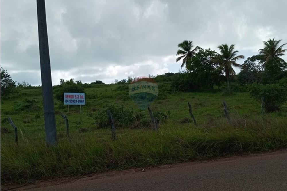 Terreno - Venda - Tibau do Sul , Rio Grande do Norte - LuizArea9.jpeg - 720891150-73