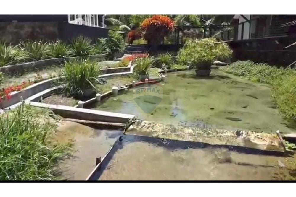 Chácara / Sítio / Fazenda - Venda - Nísia Floresta , Rio Grande do Norte - WhatsApp Image 2025-04-05 at 17.55.59.jpeg - 720731020-103