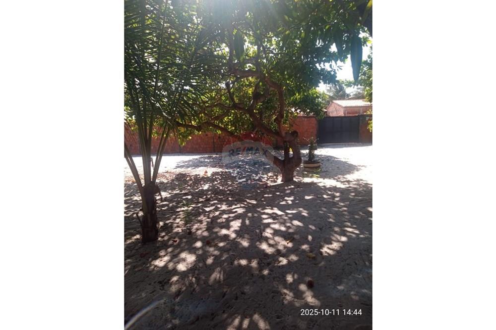 Chácara / Sítio / Fazenda - Venda - Parnaíba , Piauí - WhatsApp Image 2025-10-15 at 09.35.35.jpeg - 722361007-3