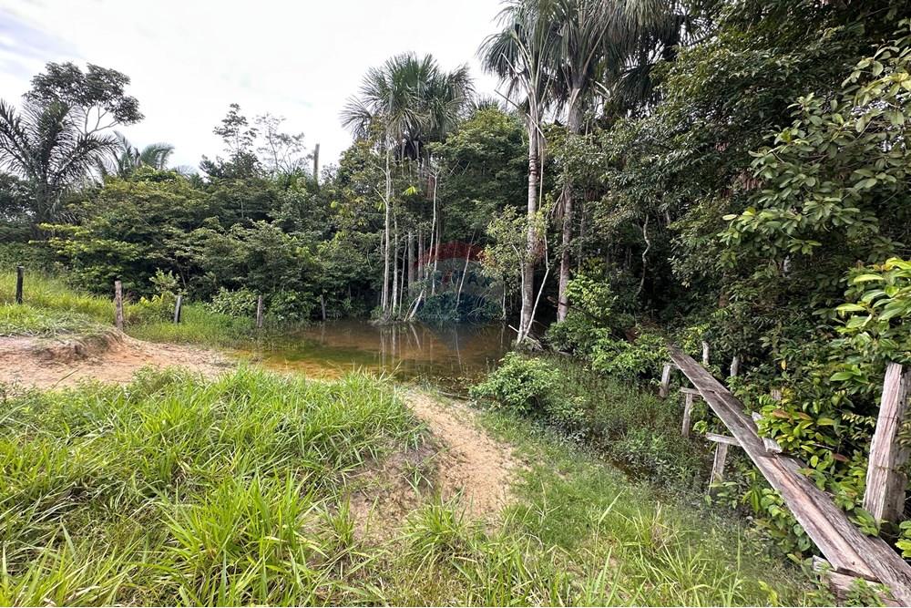 Fazenda - Venda - Itapuã do Oeste , Rondônia - IMG_0343.JPG - 721551004-289