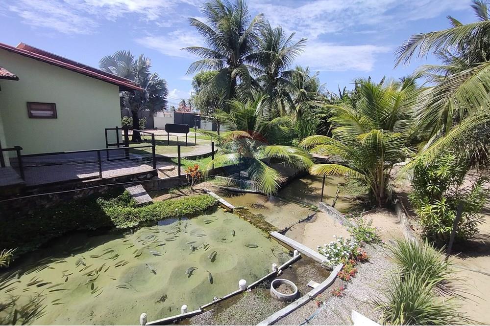 Chácara / Sítio / Fazenda - Venda - Nísia Floresta , Rio Grande do Norte - WhatsApp Image 2025-06-05 at 15.28.56(3).jpeg - 720731020-103