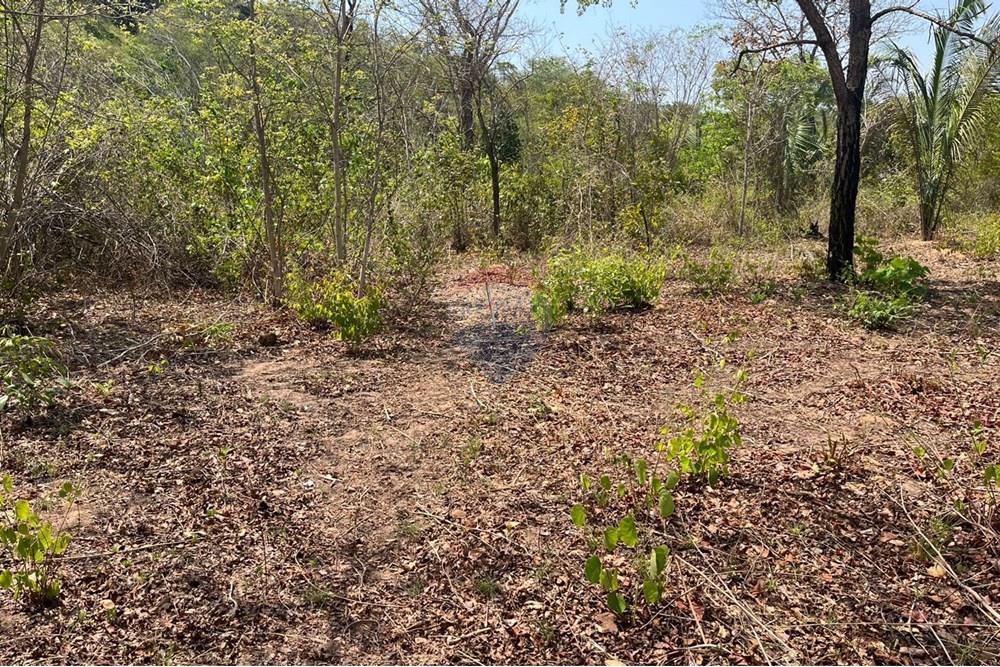 Chácara / Sítio / Fazenda - Venda - Rondonópolis , Mato Grosso - WhatsApp Image 2025-10-08 at 16.18.15.jpeg - 720611061-23