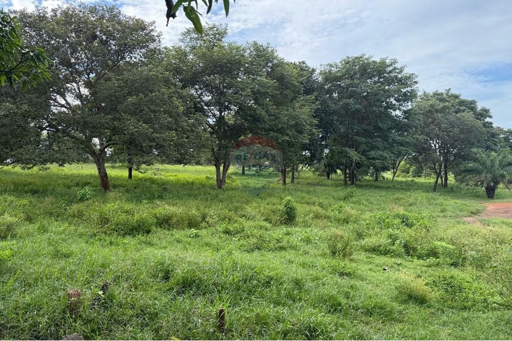 Chácara / Sítio / Fazenda - Venda - São José do Povo , Mato Grosso - IMG-20250407-WA0074.jpg - 720851027-112