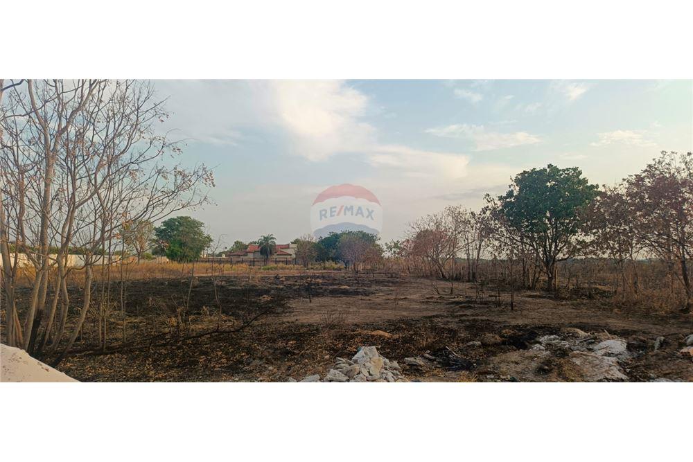 Terreno - Venda - Porto Alegre do Norte , Mato Grosso - 9 - 720641031-15