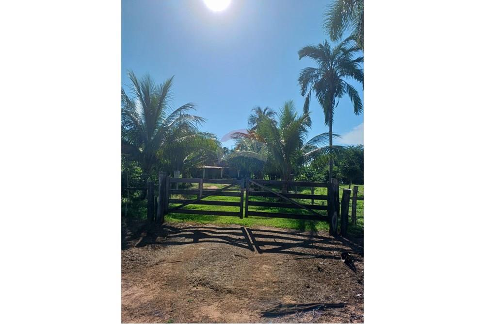 Chácara / Sítio / Fazenda - Venda - São José do Povo , Mato Grosso - WhatsApp Image 2025-04-03 at 17.01.46 (1).jpeg - 722261017-2