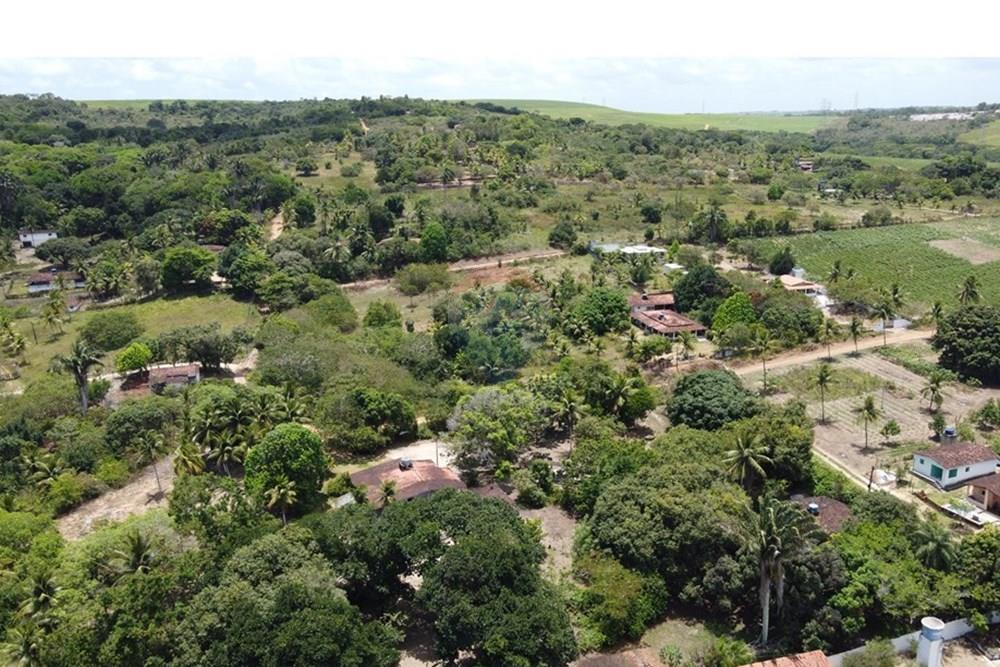 Chácara / Sítio / Fazenda - Venda - Conde , Paraíba - DJI_0271.JPG - 720871004-216