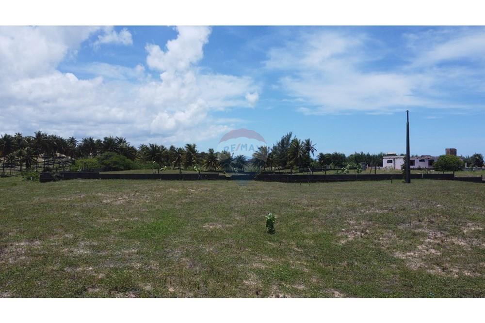 Terreno - Venda - São Miguel do Gostoso , Rio Grande do Norte - DJI_0053.JPG - 720891024-184