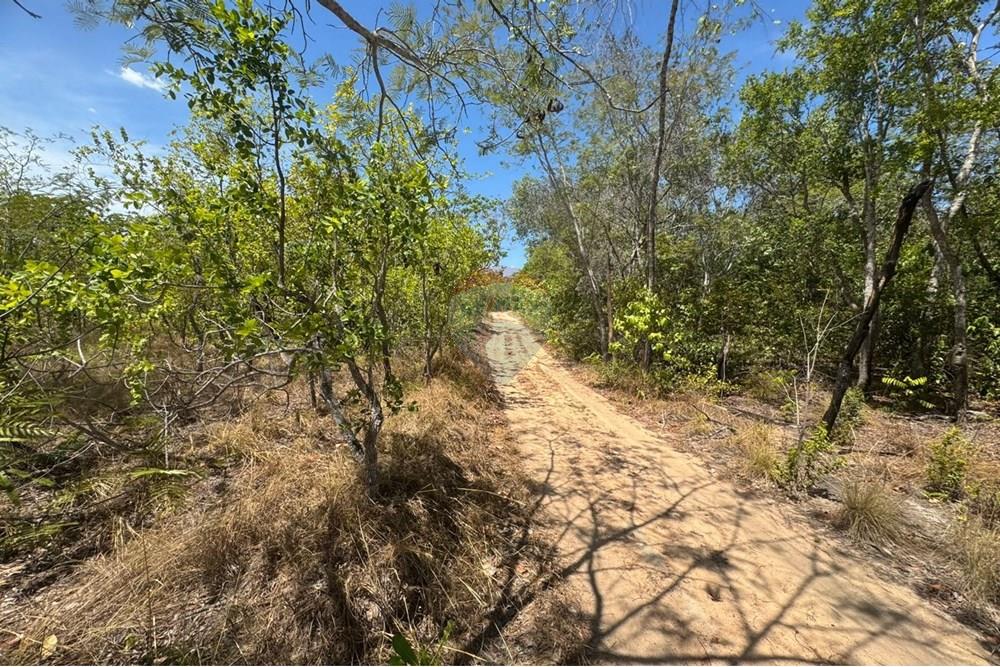 Agro - Venda - Carolina , Maranhão - WhatsApp Image 2025-08-07 at 09.45.31.jpeg - 720991042-3