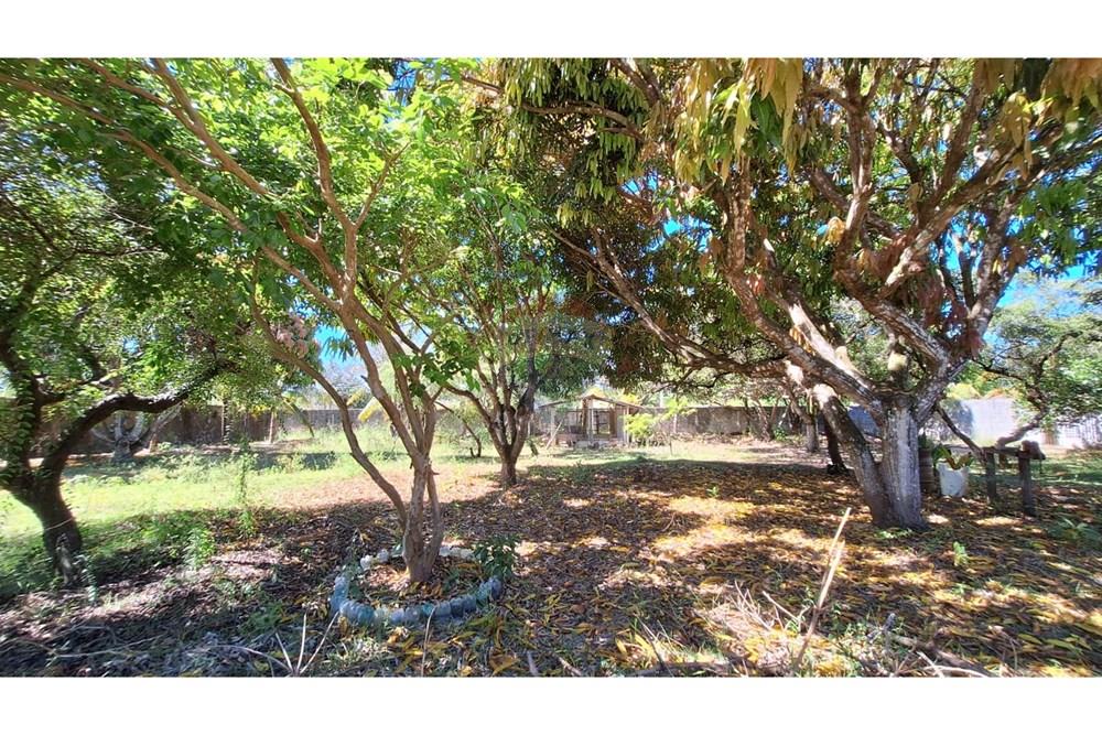 Chácara / Sítio / Fazenda - Venda - Nísia Floresta , Rio Grande do Norte - Imagem do WhatsApp de 2025-04-28 à(s) 09.34.21_e3fbd8a1.jpg - 720891106-38