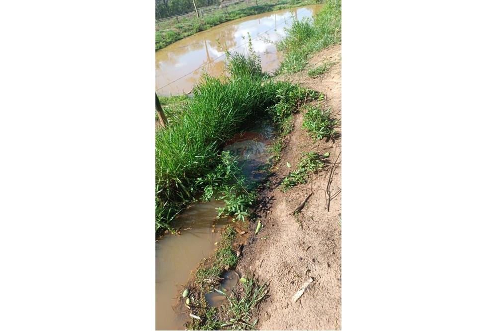 Chácara / Sítio / Fazenda - Venda - Caldas Novas , Goiás - WhatsApp Image 2025-09-30 at 10.03.12.jpeg - 722251025-1