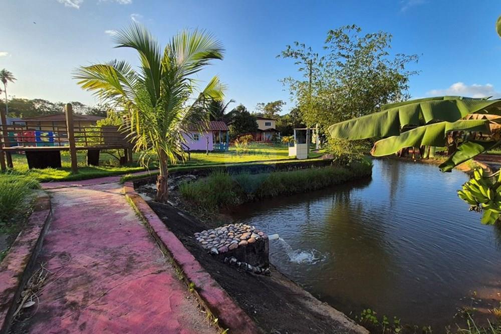 Chácara / Sítio / Fazenda - Venda - Alhandra , Paraíba - 20250724_163229.jpg - 722011055-42